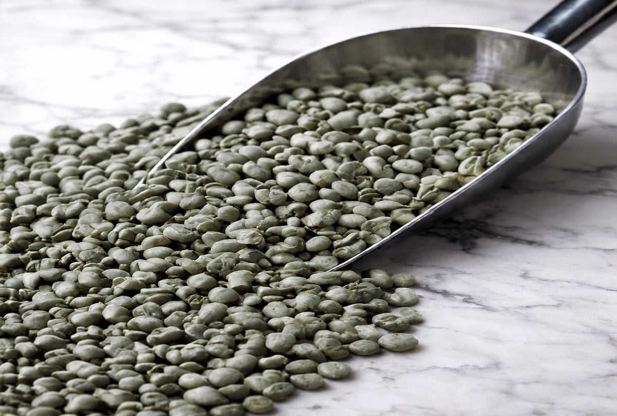 Raw green coffee beans in a metal scoop on a marble surface